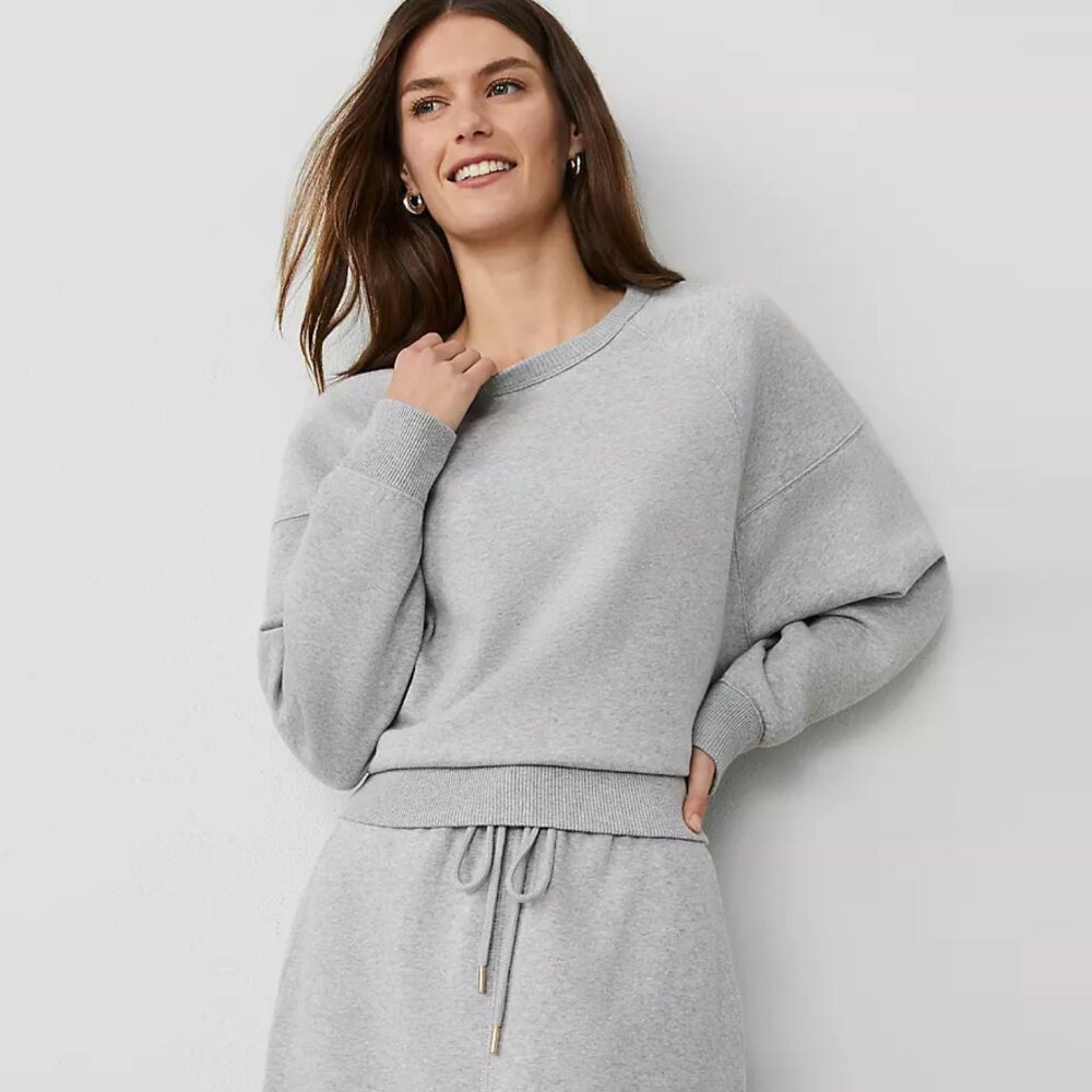 NWT Ann Taylor Raglan Sweatshirt